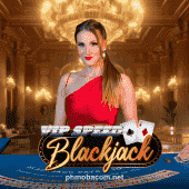 VIP Blackjack Game Image
